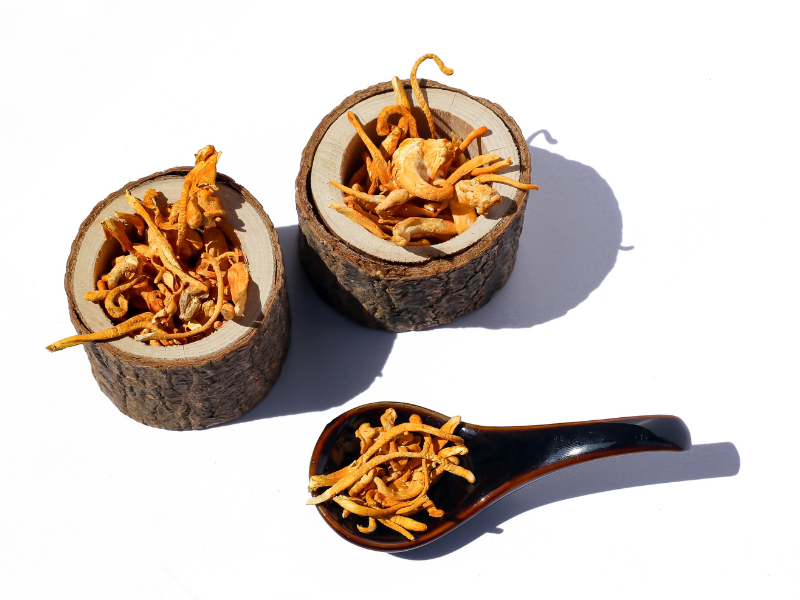 Na fotografii jsou sušené plodnice houby Cordyceps uložené v dřevěných miskách a keramické lžičce. Oranžové nitkovité plodnice symbolizují přírodní zdroj energie, zdraví a vitality.