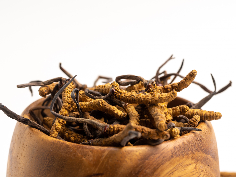 Sušená houba Cordyceps (housenice čínská) – přirozený adaptogen známý svými účinky na zdraví, imunitu a energii.