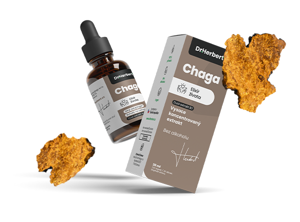 chaga-mock