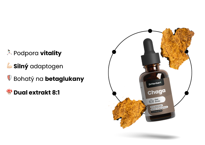 iko-chaga