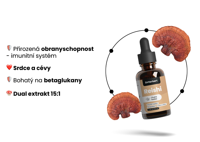 reishi-chaga
