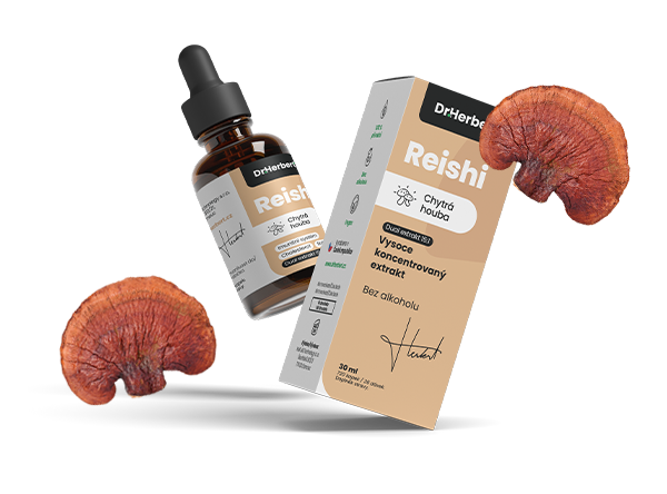 reishi-mock-1