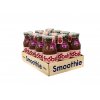 froosh-smoothie-do-koktejlu-jahoda--banan-a-guava-12x250-ml