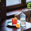 vassa zero g negroni