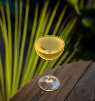 RIZZAKURA je perfektní večerní drink - třeba pro řidiče nebo kohokoliv, kdo se rozhodne pro večer bez alkoholu 🍸 Ve...