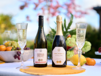 20250419 Samurai photoshoot day 2 DJF09545