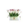 Dekorační květina Côté Noire – Oval Tulips Pink