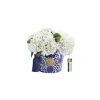 Côte Noire – Oriental Hydrangeas – Ivory