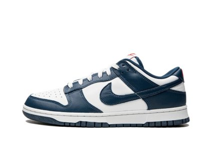 Nike Dunk Low Valerian Blue