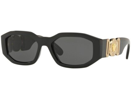 Versace Irregular Biggie Sunglasses BlackDark Grey (VE4361) (2)