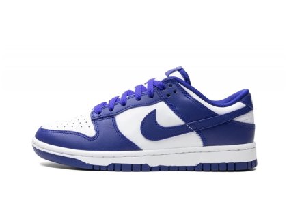 Nike Dunk Low Concord GS (4)