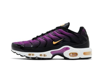 Nike Air Max Plus Hyper Violet Laser Orange (W) (1)