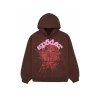 Sp5der Web Hoodie Brown