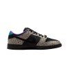 Nike SB Dunk Low Dashawn Jordan Copperhead 2