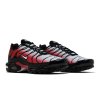 Nike Air Max Plus Platinum University Black Red (3)