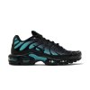Nike Air Max Plus Black Dusty Cactus (5)