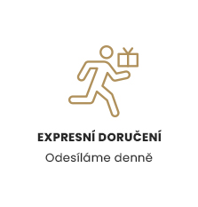 Expresní doručení