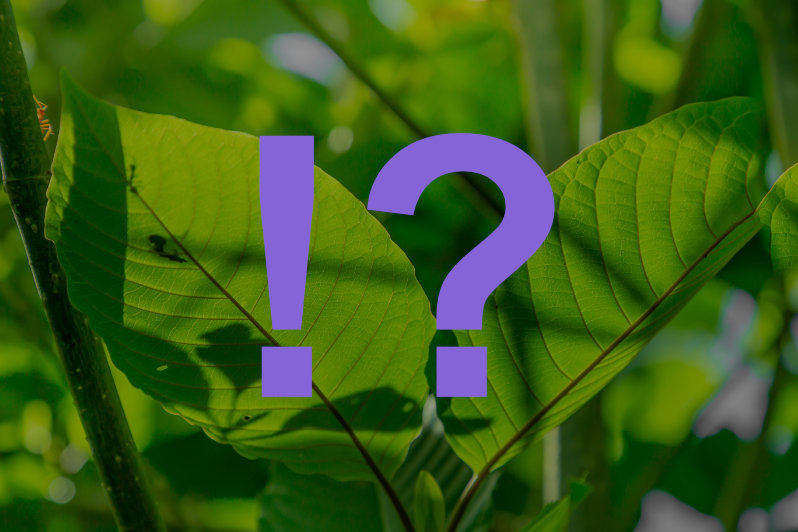 Je kratom droga?