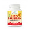 DR NATURAL BRUSINKY 60tbl VIZUAL