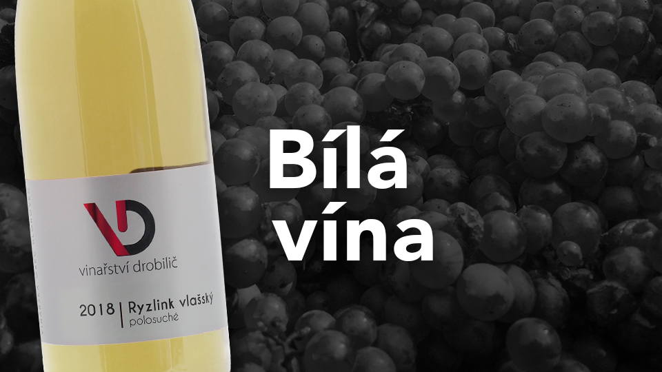 Bílá vína