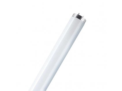 NARVA zářivka LT36W 840 T8 120cm studená bílá