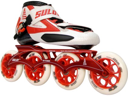 www.rulyt.cz/datalink/obrazky/rsspeed91.jpg