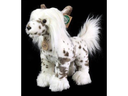 PLYŠ Pes čínský chocholatý 25cm Eco-Friendly *PLYŠOVÉ HRAČKY*