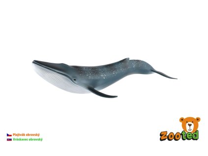 Plejtvák obrovský zooted plast 27cm