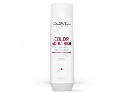 Goldwell Šampon pro extra péči o barvené vlasy Dualsenses Color Extra Rich 1000 ml