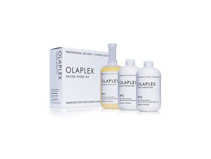 sada pro barvene nebo chemicky osetrene vlasy salon intro kit 3 x 525 ml 1435836120181211154408
