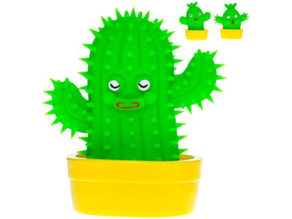 Kaktus veselý strečový antistresový květina v květináči 3 druhy