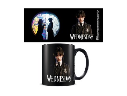 Hrnek Wednesday (Friendship) keramický 315ml v krabici 12x10,5x8,5cm