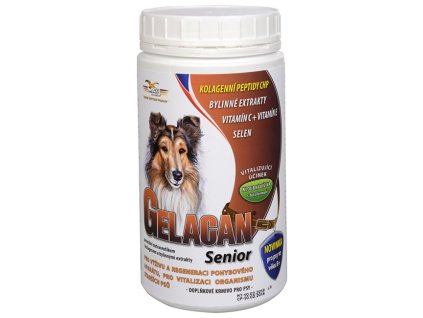 Gelacan Senior