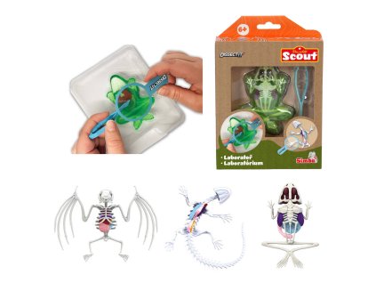 SIMBA Objevuj Mini laboratoř Pitva zvířátka set se slizem a nástroji 3 druhy