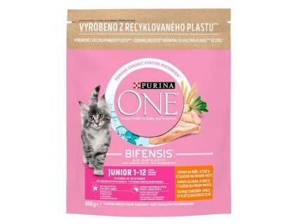 976266-purina-one-bifensis-junior-800-g-