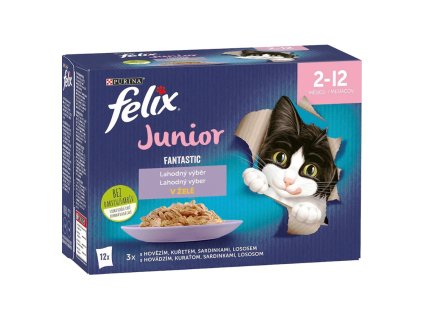 976424-Felix-Fantastic-Junior-kapsicky-p