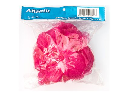 591359-houba-koupelova