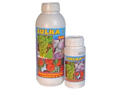 656212-biom-sulka-2024