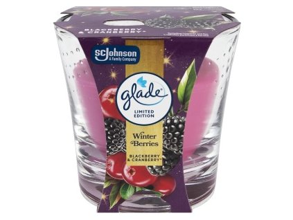 773129-glade-winter-beries