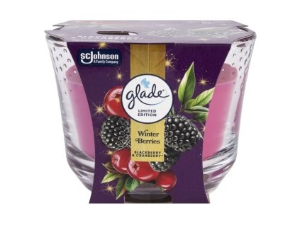 773155-glade-winter-berries-velka-svicka