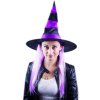 KARNEVAL Klobouk čarodějnický s fialovými vlasy *KARNEVALOVÝ DOPLNĚK*