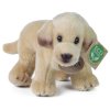 PLYŠ Pes labrador světlý 20cm stojící Eco-Friendly *PLYŠOVÉ HRAČKY*