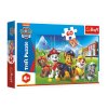 Puzzle Paw Patrol/Tlapková patrola v trávě 33x22cm 60 dílků v krabici 21x14x4cm