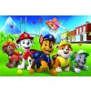 Puzzle Paw Patrol/Tlapková patrola v trávě 33x22cm 60 dílků v krabici 21x14x4cm