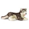 PLYŠ Pes Husky 60cm ležící Eco-Friendly *PLYŠOVÉ HRAČKY*