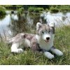 PLYŠ Pes Husky 60cm ležící Eco-Friendly *PLYŠOVÉ HRAČKY*