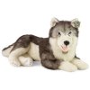 PLYŠ Pes Husky 60cm ležící Eco-Friendly *PLYŠOVÉ HRAČKY*