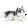 PLYŠ Pes husky 30cm ležící *PLYŠOVÉ HRAČKY*