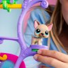 HASBRO LPS Zvířátka mají talent Zvířátko Littlest Pet Shop set 2ks s doplňky