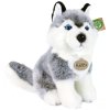 PLYŠ Pes Husky 30cm sedící Eco-Friendly *PLYŠOVÉ HRAČKY*
